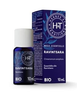 Ravintsara (Cinnamomum camphora)